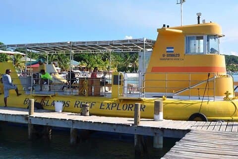 Glass Bottom Boat, WildLife, Chocolate, Rum Tasting Combo
