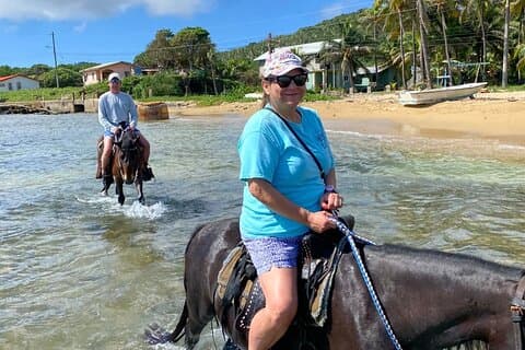 Roatan Horseback Ride og snorkel eventyr