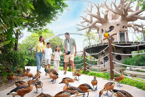 Dubai Safari Park Din ultimata Safariupplevelse