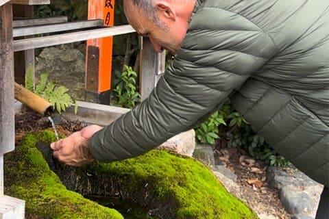 Kyoto: Temple Yoga, Tour de quatro águas da primavera e almoço nutritivo