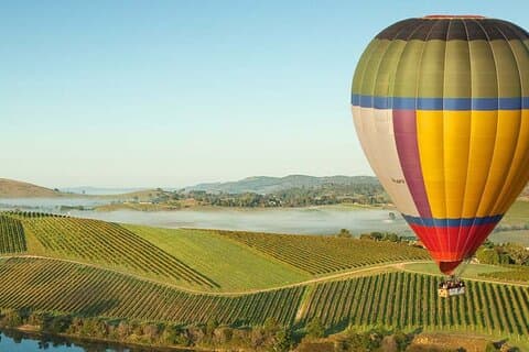 Melbourne Yarra Valley vingårdar Utforska privat rundtur