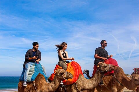 Fra Tanger Day Trip til Chefchaouen Camel Ride og Cap Spartel
