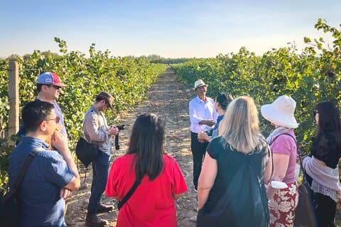 3-dages 2-Nignt vin smag gennem Kinas vinregion Ningxia