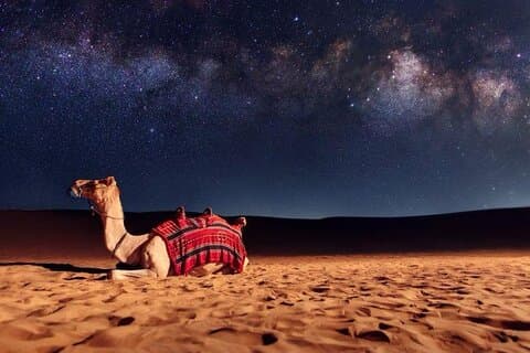 Doha Nacht Wüste Safari Stargazing Kamelritt und Dünenbashing