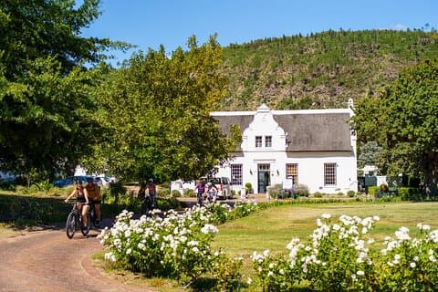 Franschhoek Half Day Winelands Mountain Bike Cycle Tour