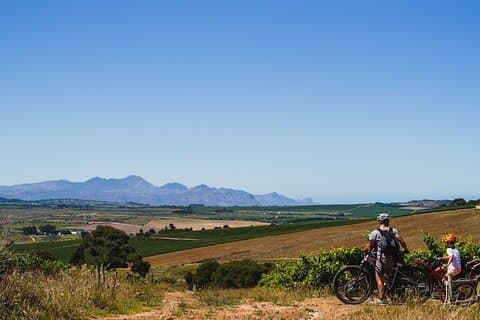 Stellenbosch Family Cycle Tour