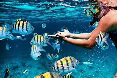 Bali Blue Lagoon Snorkeling with Waterfalls Tour - all included