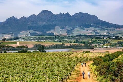 Stellenbosch Half Day Winelands Mountain Bike Cycle Tour