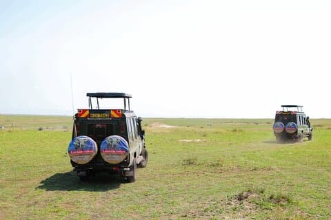 3-dagers Masai Mara Migration 2025 | Daglig budsjett safari på 4×4