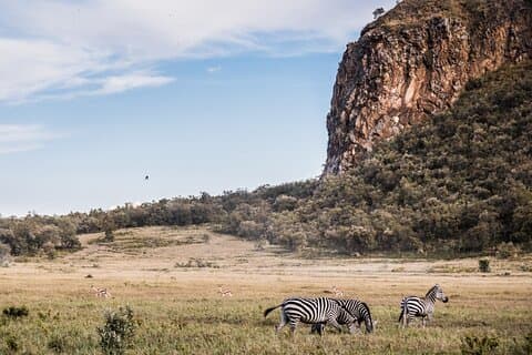 Tagesausflug zum Nationalpark Hell's Gate und zum Lake Naivasha