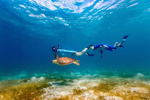 Turtle Canyon Snorkel Adventure - Pequeno Grupo 6 Passageiros