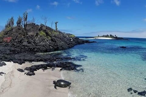 Dagstur til Floreana Island med Highland Tour og snorkling