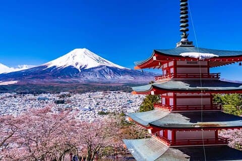 1 Day Private Tour Fuji FujiQ Kawaguchiko Pagoda