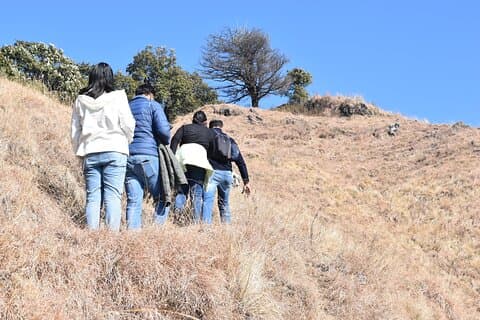 Benog Trek into the Wild