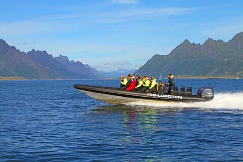 Lofoten RIB Sea Eagle Safari and Trollfjord Cruise