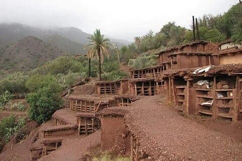 Hive Inzerki is the oldest apiary in the world, Built in 1520