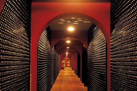 Mallorca Winery Private Experience