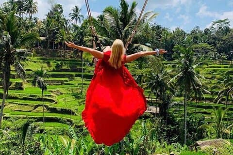 Ubud Tirta Empul Temple med ris terrasse og Bali jungle swing