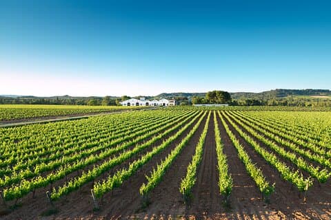 Excursión por la finca Nadal de la Boadella Cava Sensations.