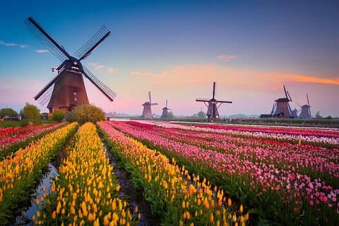 Trasferimento privato diretto da Amsterdam a Kinderdijk
