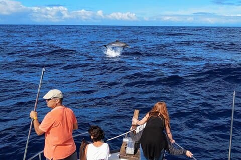 Passeio de barco para observação de baleias e golfinhos em pequenos grupos