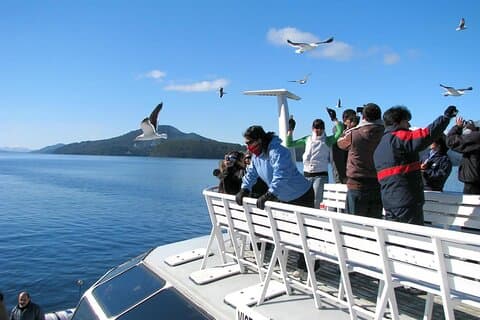 Explore Peulla Full Day Tour from Puerto Montt