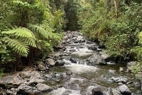 Pance Trail: Experience Waterfalls, Wildlife, and Scenic Views
