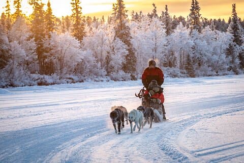 Polar Sunrise Eco Experience (10:00-13:00- conduciendo el trineo)