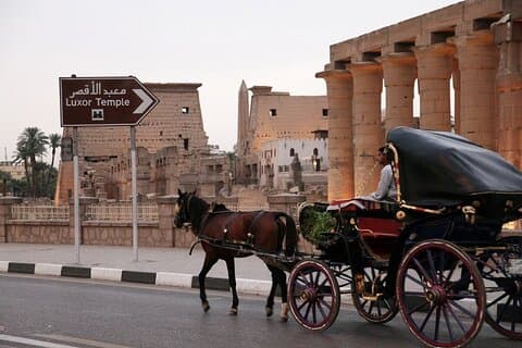 Tour in carrozza a cavallo della città di Luxor: cena e scopri