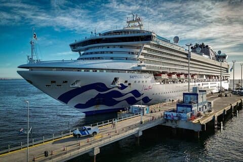 Punta Tombo Shore Tour for Princess passengers in Puerto Madryn