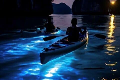 Piccolo gruppo bioluminescente Canoa & Crepuscolo Avventura Phang Nga Bay