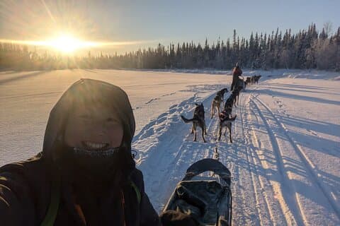 Alaskan Husky Dog Sledding at Yellowknife Enodah Kennel