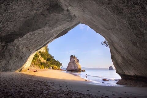 Cathedral Cove & Hot water beach - Excursión de día completo: TOUR PRIVADO