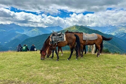 Sua experiência Tusheti espera - Guia local, passeio inesquecível