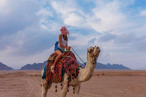 Excursion au Blue Hole depuis Sharm El Sheikh