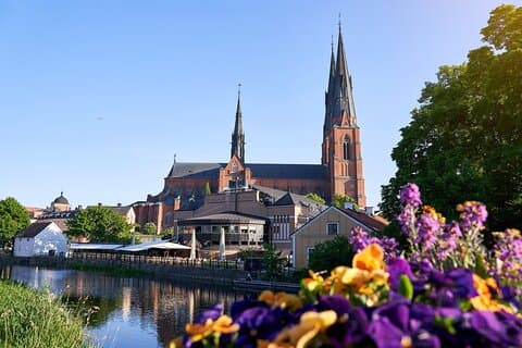 Historische Uppsala privétour