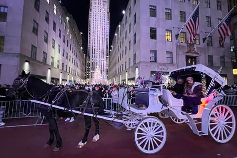 NYC: Magisk julelys privat hest vogn tur