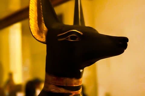 Volledige dag Piramides van Gizeh en Egyptisch Museum