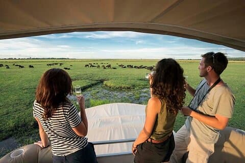 Chobe dagstur från Victoriafallen Zimbabwe
