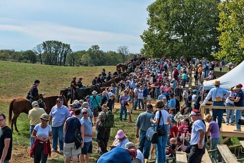 Antietam Battlefield Private Vehicle Tour from DC Area
