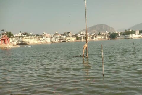 Ajmer Pushkar dagstur fra Jaipur