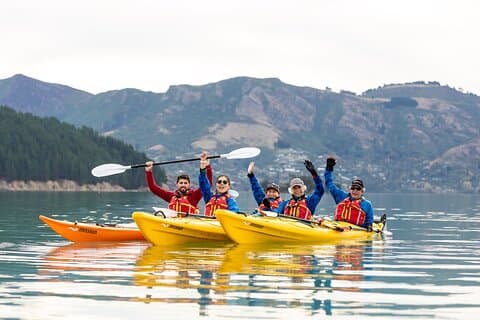 Sea Kayaking Christchurch, Lyttelton Harbor & Quail Island