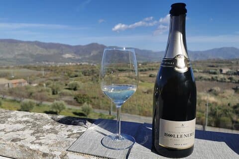 Castelmola og Etna Wine Tasting Tour fra Messina