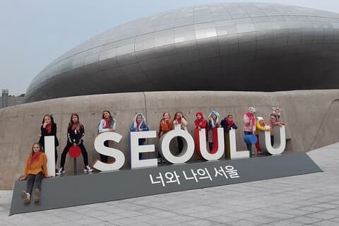 Private Tour in Seoul mit Auto individuell gestalten