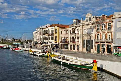 Tour Privé à Aveiro, Aves et Vista Alegre