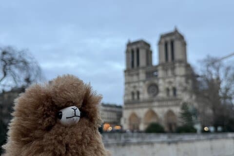 Paris Private guidet vandretur med Notre-Dame besøg