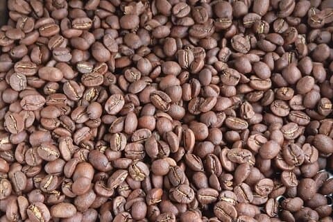 Lav din egen kaffe: Bajo Boquete Ekspertledede Erfaringer