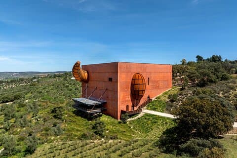 Dégustation d'huile d'olive à Ronda : Moulin à huile d'olive El Toro