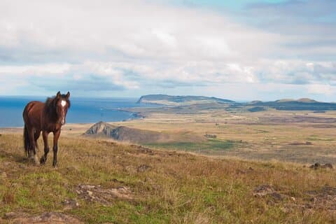 World's End: Private Easter Island hike to remote volcano Poike