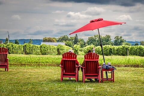 Private Customizable Niagara Falls Wine Tasting Adventure